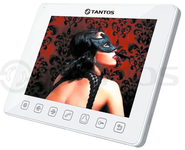 TANTOS TANGO  (XL)